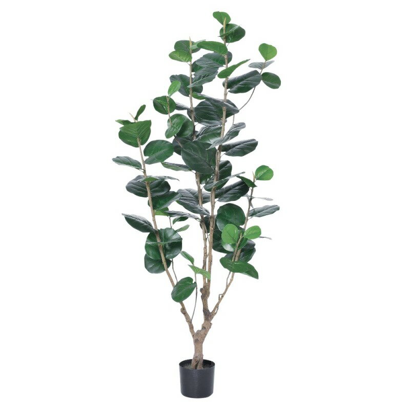 人工観葉植物 インデアンアーモンド （ポット付き） グリーン 高さ180cm （P277-a50901) （代引き不可） インテリアグリーン フェイクグリーン