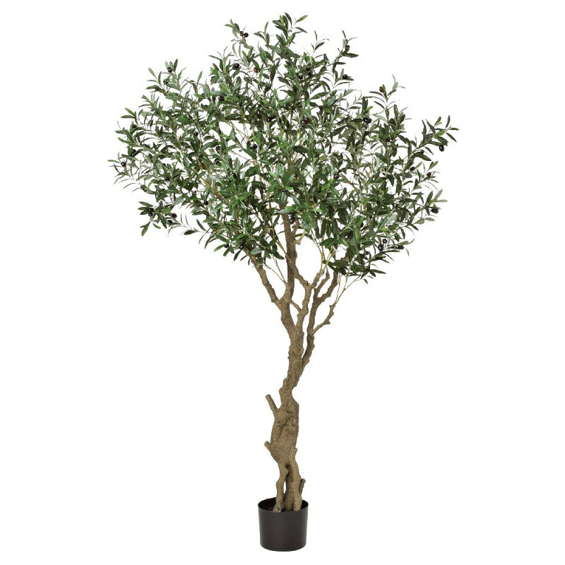 人工観葉植物 オリーブ （ポット付き） ナチュラル 高さ198cm （P281-a50910) （代...