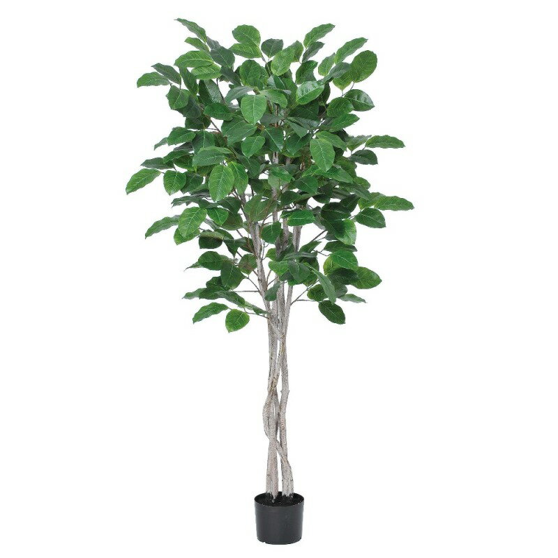 人工観葉植物 ジャイアントツリー （ポット付き） グリーン 高さ170cm （P276-a50914) （代引き不可） ..