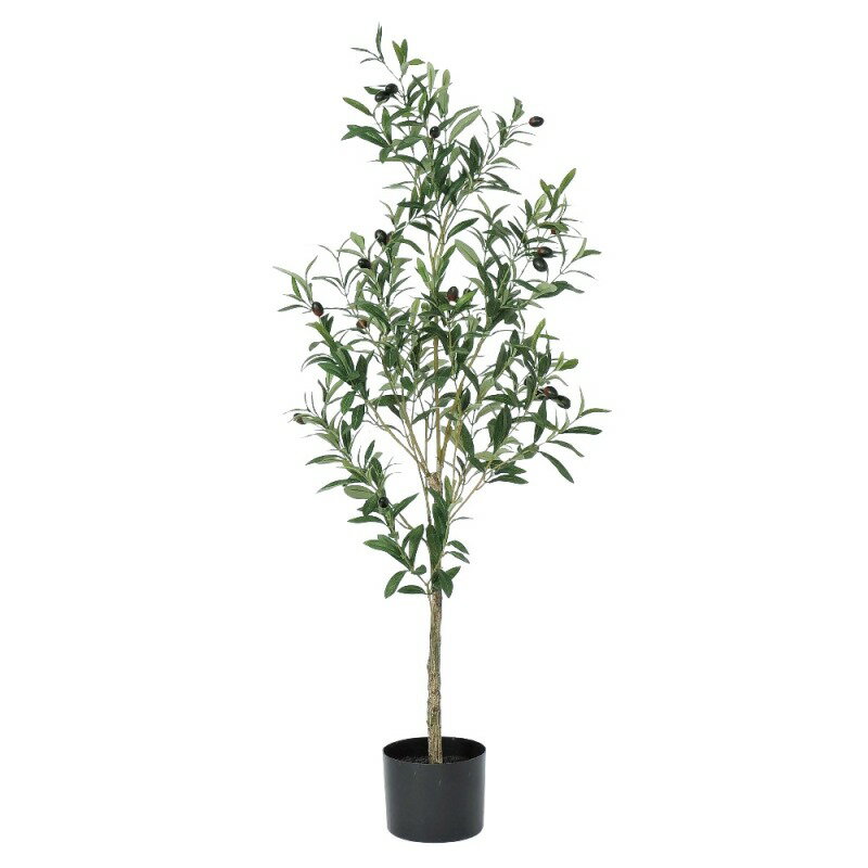 人工観葉植物 オリーブ （ポット付き） ナチュラル 高さ115cm （P280-a50945) （代引き不可） インテリアグリーン フェイクグリーン