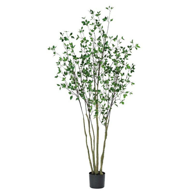 Leafy Plants - 人工観葉植物 ドウダン （ポット付き） グリーン 高さ210cm （P279-a50948) （代引き不可） インテリアグリーン フェイクグリーン