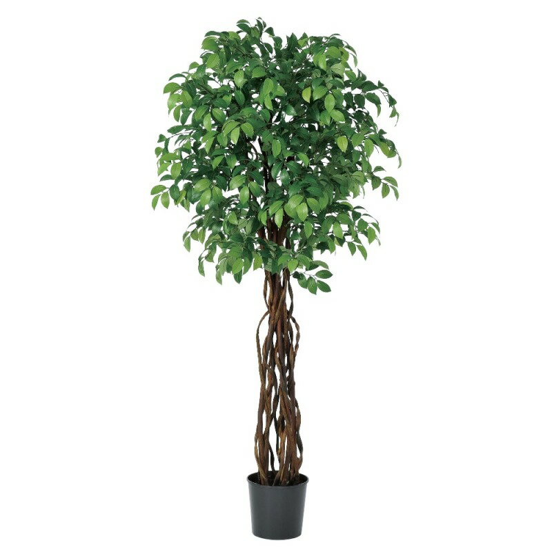 人工観葉植物 サカキツリー （ポット付き） グリーン 高さ185cm （P285-a50952) （代引き不可） インテリアグリーン フェイクグリーン