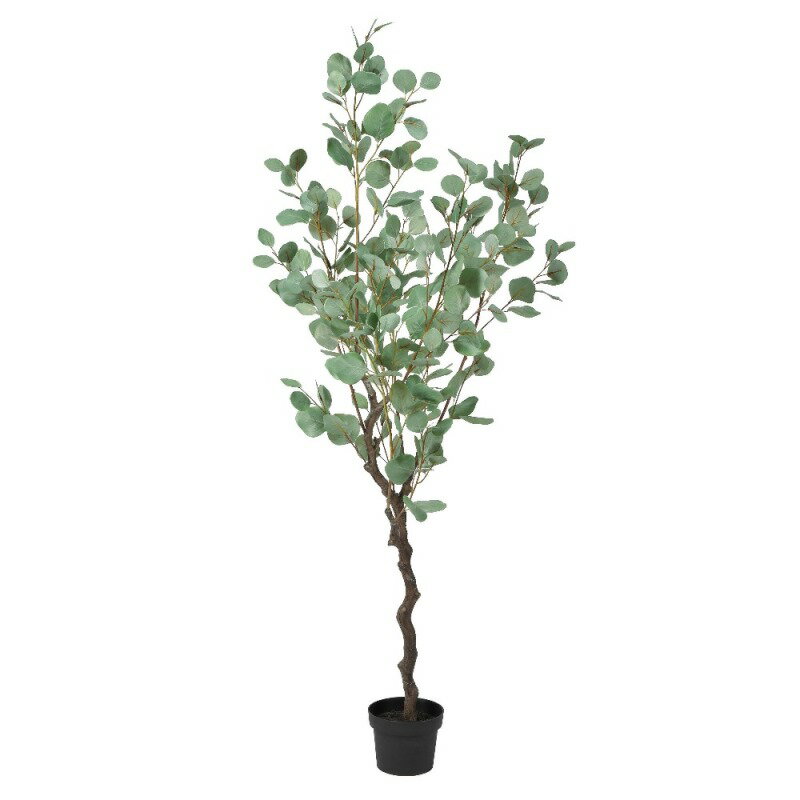人工観葉植物 ユーカリ （ポット付き） グレイグリーン 高さ130cm （P282-a50967) （代引き不可） インテリアグリーン フェイクグリーン
