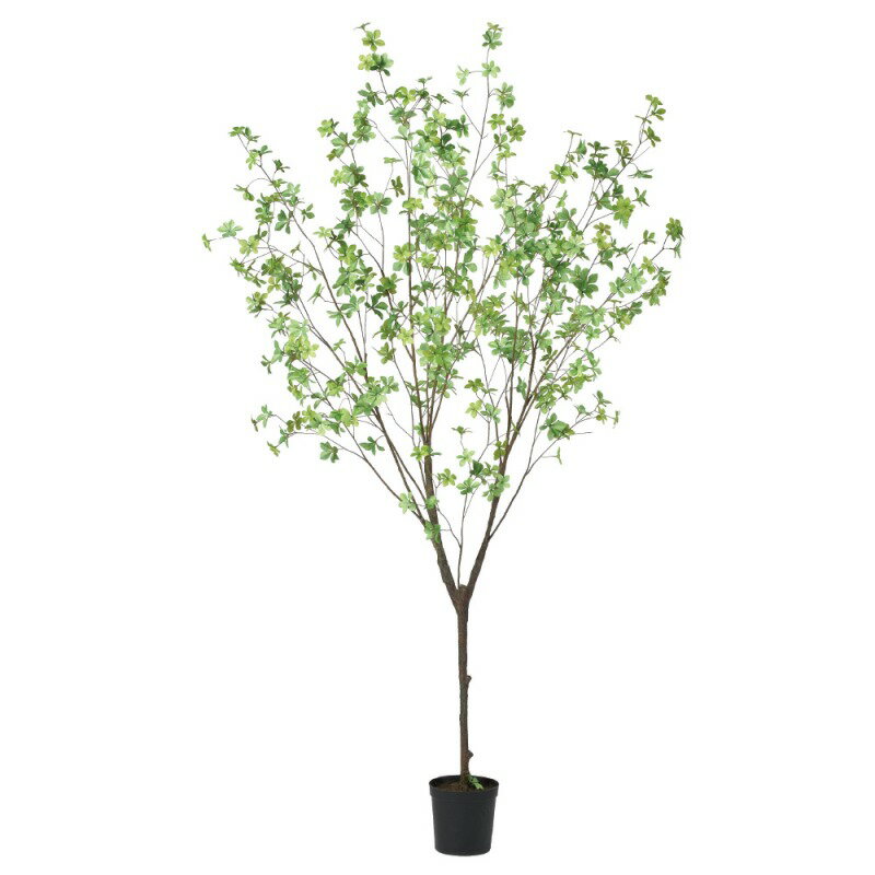 樂天商城 - 人工観葉植物 ドウダン （ポット付き） グリーン 高さ190cm （P279-a51063) （代引き不可） インテリアグリーン フェイクグリーン