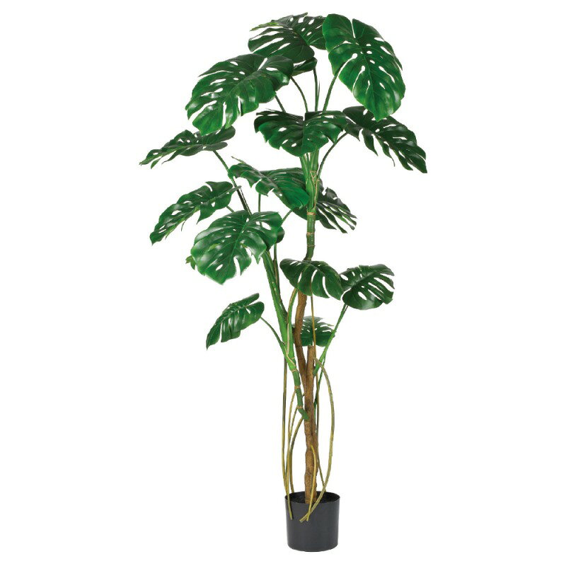 乐天商城 - 人工観葉植物 モンステラ （ポット付き） グリーン 高さ180cm （P289-a51066) （代引き不可） インテリアグリーン フェイクグリーン