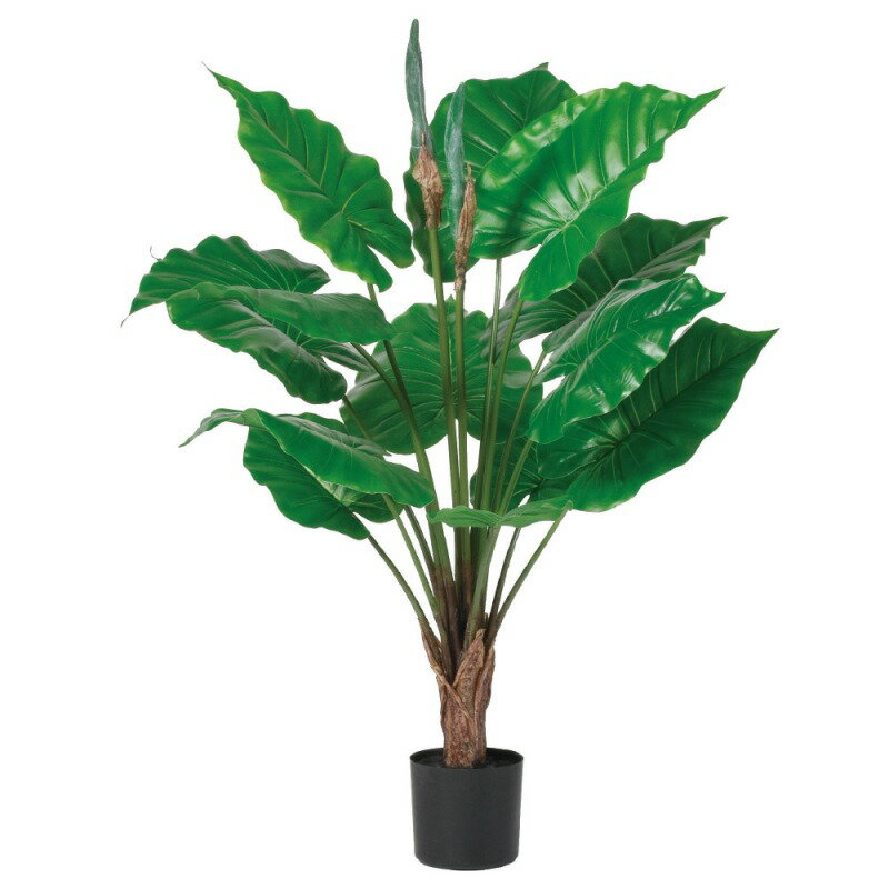 人工観葉植物 アロカシア （ポット付き） グリーン 高さ93cm （P288-a51069) （代引き不可） インテリアグリーン フェイクグリーン