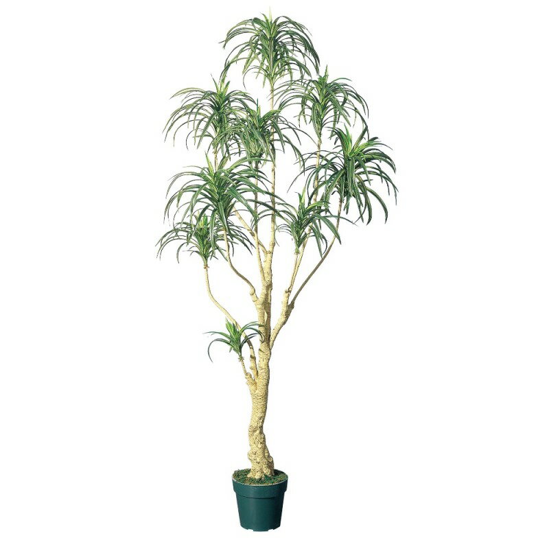 人工観葉植物 ユッカツリー （ポット付き） グリーン 高さ170cm （P295-a56004) （代引き不可） インテ..