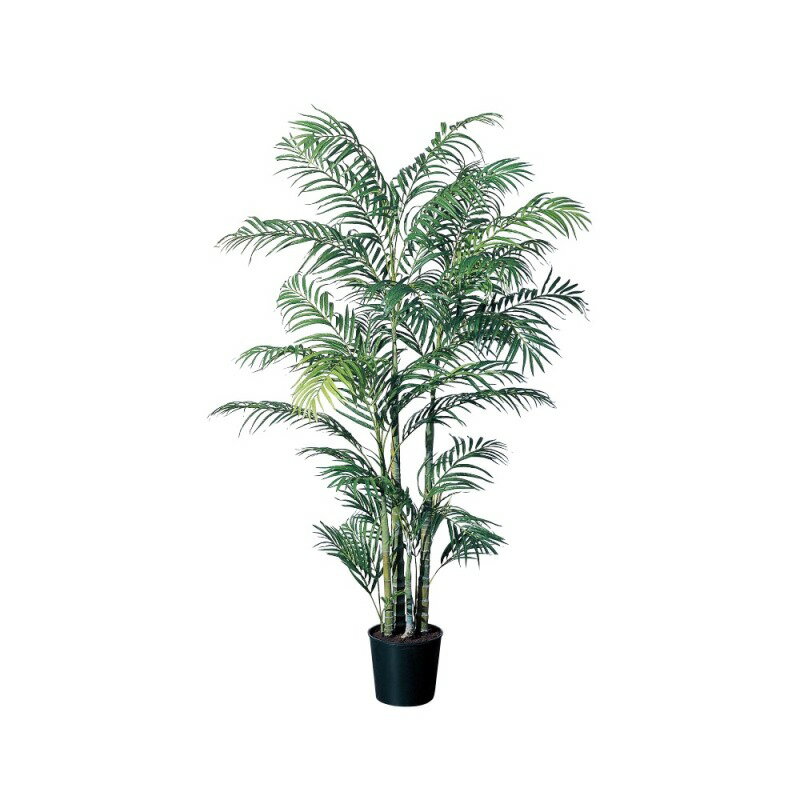 乐天商城 - 人工観葉植物 アレカパーム （ポット付き） グリーン 高さ175cm （P292-a56009) （代引き不可） インテリアグリーン フェイクグリーン