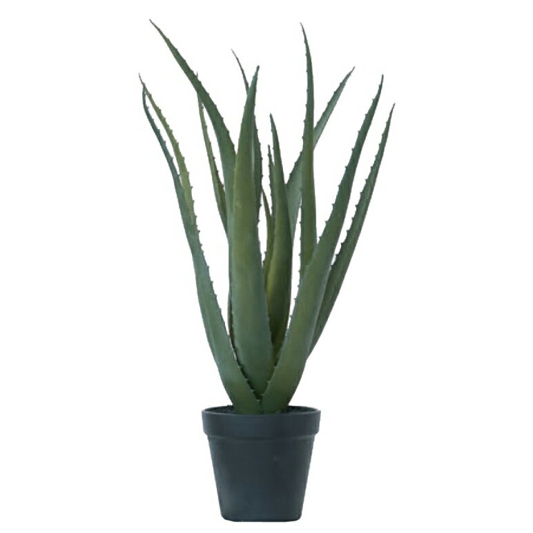 Leafy Plants - 人工観葉植物 アロエベラ ポット 48（1個入り）991081 多肉植物 （代引き不可） インテリア フェイクグリーン 造花 POT SUCCULENT （p73）