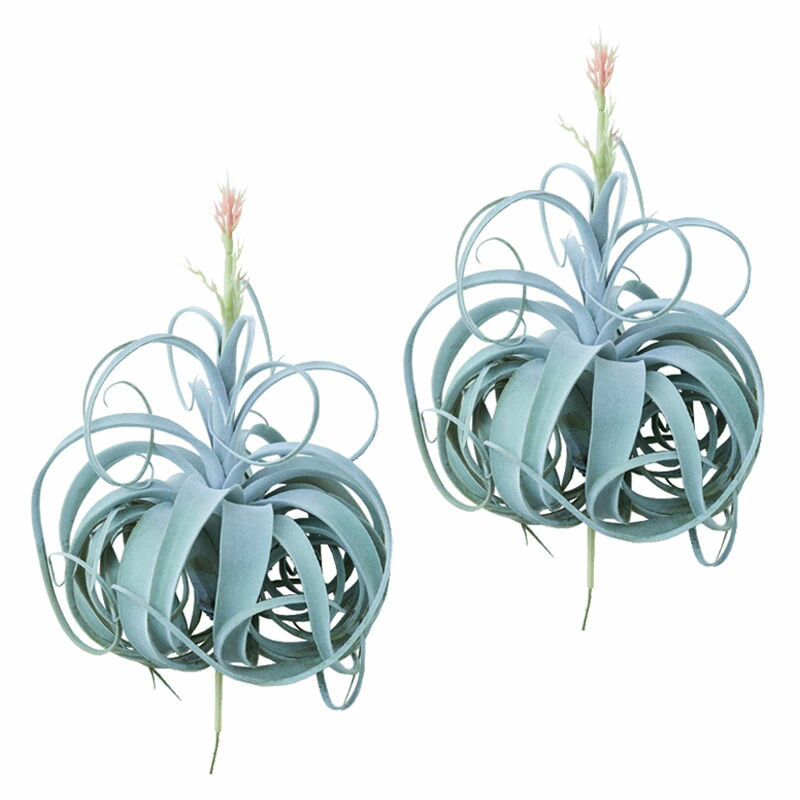 人工観葉植物 キセログラフィカ ピック 花付（2個入り）991170 エアプランツ （代引き不可） インテリア フェイクグリーン 造花 AIRPLANT PICK （p133）
