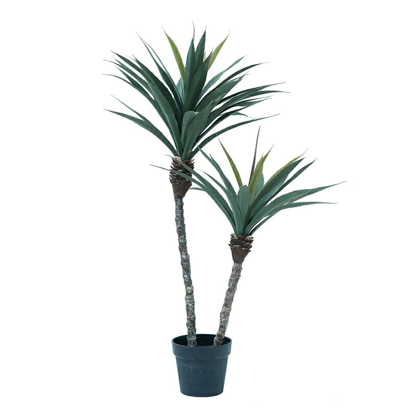 サイズ高さ115cmポットサイズ：約高さ17×直径20cm人工観葉植物ユッカ ポット 115　【 1 個入り】材質：発砲ポリエチレンプラスチックポット水やり不要の人工観葉植物です。スタイリッシュに空間をデザイン、お好みのポットや鉢にセットして。ホテルのロビー、レストラン、グリーンのディスプレイでお客様に安らぎと憩いの演出を。お店やお部屋のインテリアにいかがでしょうか。お手入れ簡単な人工観葉植物はお手軽にグリーンを楽しめ日々の暮らしに潤いを与えます。ご利用上のご注意 屋内使用を目的として開発されたインドア（屋内）専用商品です。屋外および半屋外でのご利用は適しておりませんのでお控えください。食べられませんので口に入れたり食器類に直に触れるご利用はお避け下さい。 日差しが強く照射する場所、空調が直接あたる場所に置くと、変色・変形することがあります。 換気の良い場所へ設置し水は絶対にかけないでください。天然（自然）素材を使用している商品は、湿気が原因で虫、カビが発生することがあります。また、金属を含んでいる商品は、湿気がおよぶと、錆や腐食が生じます。 人工樹木製品はポリエステル、ポリエチレンを主とした原料でつくられています。商品によって表面に特殊な樹脂コーティングをほどこしたものがあり、箱開封時に特有のにおいがする場合がございます。 自然木が使用されている商品は、あらかじめ燻蒸処理をしておりますが、出荷後の設置環境下によっては外部の虫が付着することがあります。 商品は可燃性です。燃えますので加熱したり火気に近づけることは絶対にしないでください。 背の高い商品や重たい商品は設置場所を確認し、転倒防止のためしっかりと固定してからご利用ください。【開梱検査のお願い】商品が到着したら、必ず破損がないかご確認下さい。破損があった場合は、商品到着から7日以内にご連絡をお願い致します。7日を過ぎた場合、荷受け先から移動した後に破損が見つかった場合は一切補償できません。ご了承ください。商品が届いたら最初に商品の有無・状態についてご確認ください。商品が箱のすみに入ったまま誤って捨てられてしまう恐れもございますので、必ずご確認ください。お荷物は梱包をコンパクトにするため商品の枝花が傷つかないよう曲げて箱に入れられてくる事がありますので、葉が曲がっていたり形状がかたよっていたりすることがあります。焦らずゆっくり丁寧に伸ばし広げてください。 商品は、 生産工程に人の手が加わっているため、サイズや仕上がりに多少の個体差が生じます。そのため、記載されているサイズや色味と若干の誤差が出る場合がございます。なお、パソコンなどのモニターで表示される色味は環境により異なりますので、不良品という訳ではございません。ご了承ください。運送途中に梱包箱に汚れやへこみ等が発生する可能性がございます。梱包箱の破損は商品の不良ではございませんので、返品・交換はお受けできません。ご了承ください。※仕様等予告なく変わる場合があります。手づくりのため一つ一つが違います。※自然の材料を使っているものは風合いが若干異なる場合がございます。※パソコンなどのモニターで表示される色味は環境により異なります。※写真の撮影場所や実際の置いていただく場所（屋内・屋外・光の当たり方）によっても色目が変わる場合がございます。※家具等を傷つけないよう直接置かないようにお取り扱い下さい。※用途によりポットカバー等に入れてご使用下さい。悪しからずご了承いただきますようお願い申し上げます。在庫調整は致しておりますが、調整の遅れにて出荷手配が出来ない場合は悪しからずご了承下さい。 ■基本の発送はメーカーから直送での配送になります。 ■最短3日〜最長30日でお届できます。 ※お届けが遅れる場合はご連絡いたします。 ■受注日より土日、祭日、GW、盆休み、年末・年始の休みを除き2〜3日でお届け目安を メールでお知らせいたします。 ※予定メールにてお届け予定日を確認後、製作発送手配をいたします。 ※メール記載のお取消し受付期日を必ずご確認ください。 ＜注文、決済のご留意＞ ■当該品の受注は先決済で承っています。（代引き決済は不可） 商品はメーカー直送又はお取り寄せ発送の為、ご注文のお取消し、注文変更をご希望された タイミングによりご希望に添えない場合がございます。 ＜希望に添えないタイミング＞ ■弊社が受注確認をし、メーカー直送又はお取り寄せ発注が完了しているご注文。 ■発送の処理が完了しているご注文。 ＜お取消し、注文変更の場合のお客様ご負担に付いて＞ ■購入金額の最大50％と配送に関した運賃をご負担いただきます。