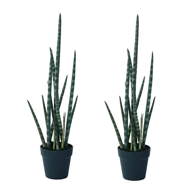 乐天商城 - 人工観葉植物 サンセベリア ポット 68（2個入り）991590 多肉植物 （代引き不可） インテリア フェイクグリーン 造花 POT SUCCULENT （p69）