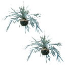 人工観葉植物 ビカクシダ ハンギングボール 60（2個入り）991610 吊るしタイプ （代引き不可） インテリア フェイクグリーン 造花 HANGING （p94）