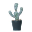 人工観葉植物 ミニサボテン ポット 21(1個入り)991691 サボテン (代引き不可) インテリア フェイクグリーン 造花 CACTUS (p81)