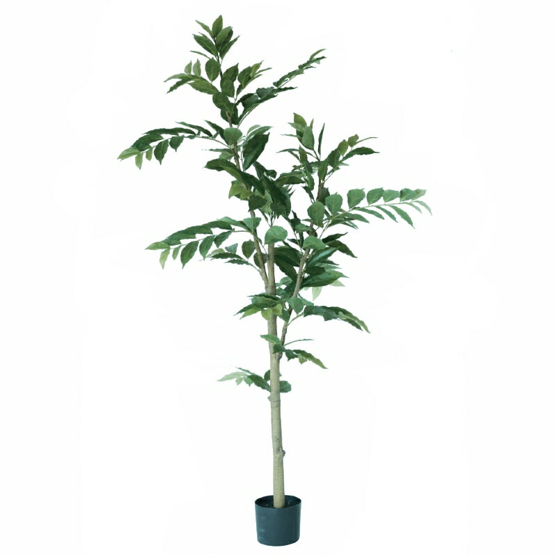 乐天商城 - 人工観葉植物 コーヒーの木 ポット 170（1個入り）992080 庭木ポット （代引き不可） インテリア フェイクグリーン 造花 GARDEN PLANT （p45）