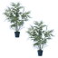 人工観葉植物 アスパラガス ポット 90（2個入り）992140 観葉植物 （代引き不可） インテリア フェイクグリーン 造花 GARDEN PLANT （p37）