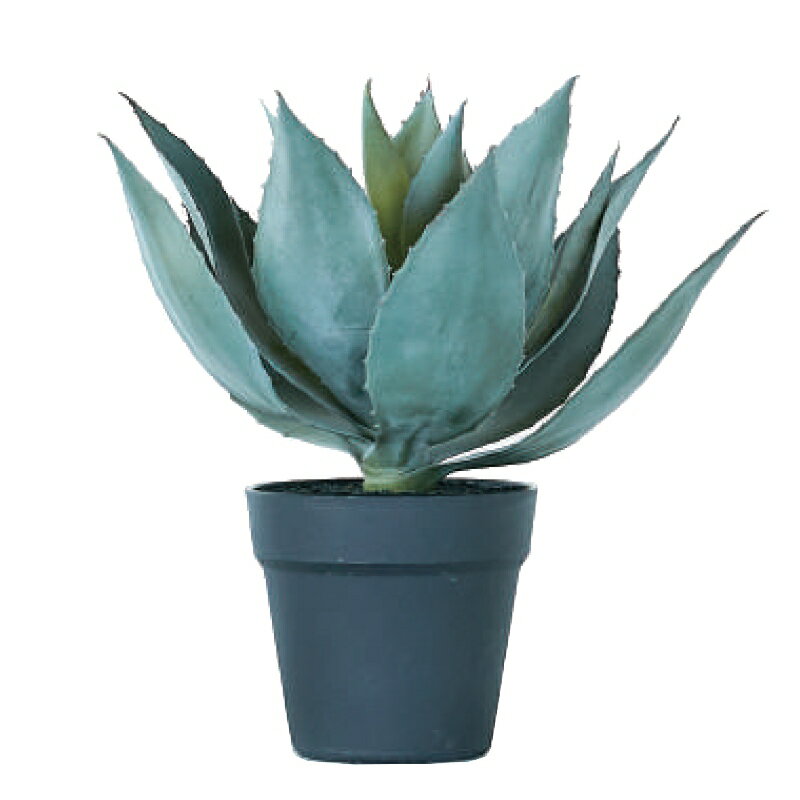人工観葉植物 アガベ ポット 32（1個入り）992181 多肉植物 （代引き不可） インテリア フェイクグリーン 造花 POT SUCCULENT （p67）