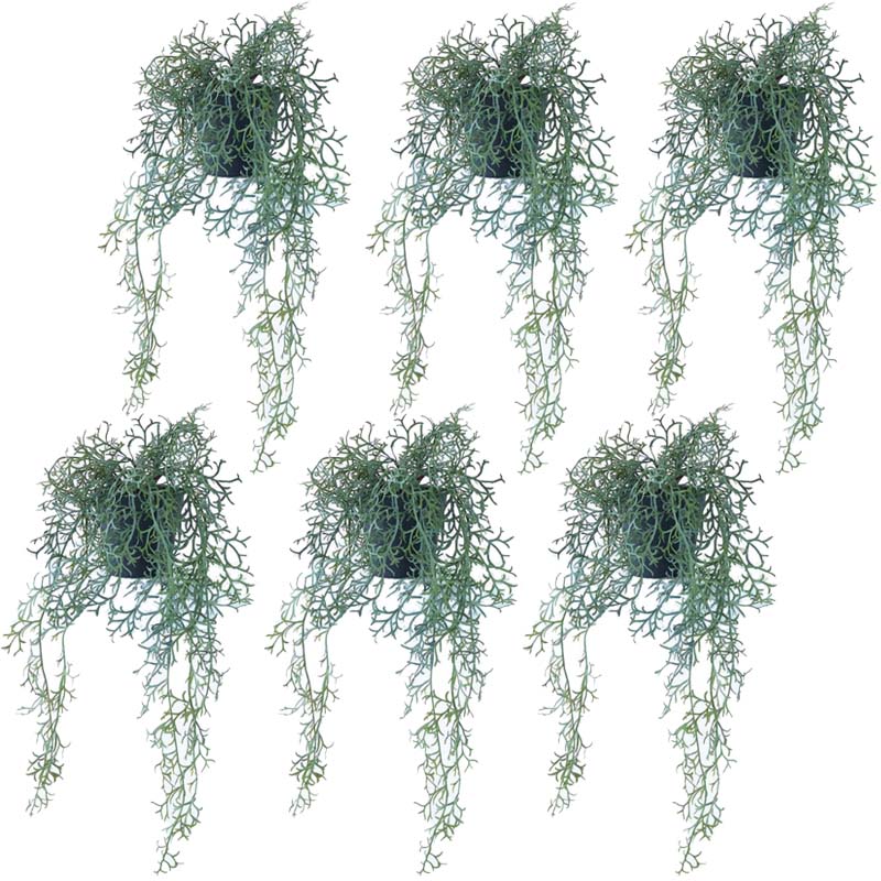 人工観葉植物 リプサリス ポット 55（6個入り）992410 観葉植物 （代引き不可） イ...