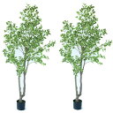人工観葉植物 斑入りベンジャミン ポット 210(2個入り)992670 庭木ポット (代引き不可) インテリア フェイクグリーン 造花 WREATH (p7)