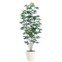 人工観葉植物 シェフレラ 180cm 高さ180cm (P209-dt98889) (代引き不可) インテリアグリーン フェイクグリーン