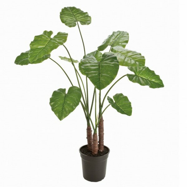 人工観葉植物 クワズイモ 高さ100cm （P192-fg13000) （代引き不可） インテリアグリーン フェイクグリーン