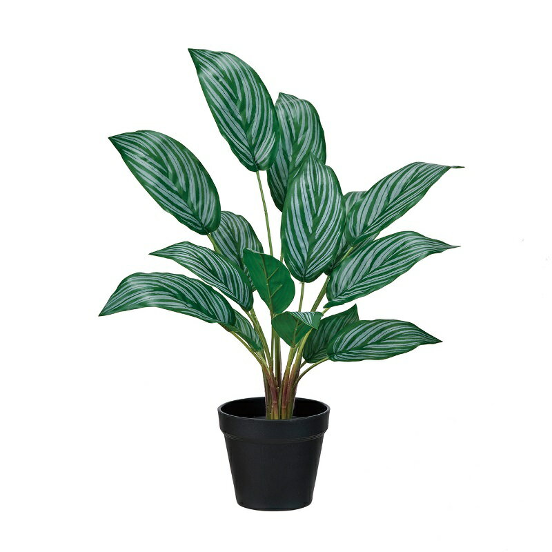 人工観葉植物 アグラオネマリリアン 高さ45cm （P191-fg1856) （代引き不可） インテリアグリーン フェイクグリーン 1