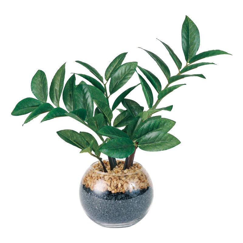 人工観葉植物 ザミオクルカズ ラウンドグラス 高さ27cm （P191-fz566) （代引き不可） インテリアグリ..