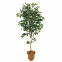 人工観葉植物 ベンジャミンフィカス 180cm 高さ180cm (P207-sk1028) (代引き不可) インテリアグリーン フェイクグリーン