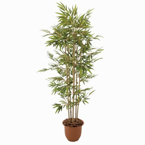 人工観葉植物 メダケ 180cm 高さ180cm （P207-sk1068) （代引き不可） インテリアグリーン フェイクグ..