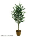 人工観葉植物 オリーブ 150cm 高さ150cm (P207-sk3005) (代引き不可) インテリアグリーン フェイクグリーン