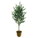 人工観葉植物 オリーブ 180cm 高さ180cm (P207-sk3008) (代引き不可) インテリアグリーン フェイクグリーン