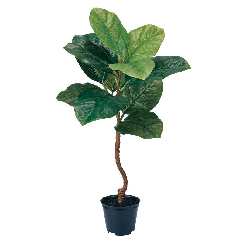 人工観葉植物 ゴムの木 ミニポット 光触媒加工 高さ50cm （P191-zv1815) （代引き不可） インテリアグリーン フェイクグリーン