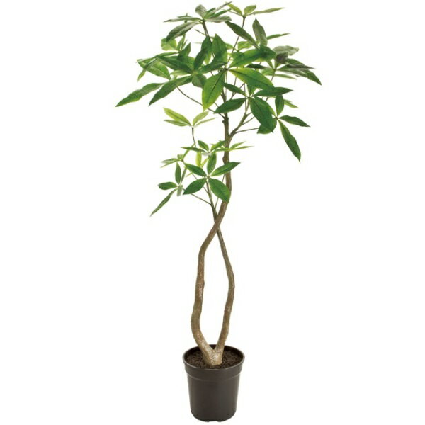 人工観葉植物 パキラ 4F 光触媒加工 高さ120cm （P199-zv22000) （代引き不可） インテリアグリーン フェイクグリーン