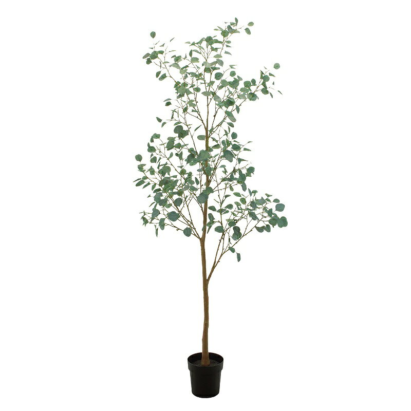 乐天商城 - 人工観葉植物 ユーカリブランチ ポット L 光触媒加工 高さ210cm （P195-zv307772) （代引き不可） インテリアグリーン フェイクグリーン