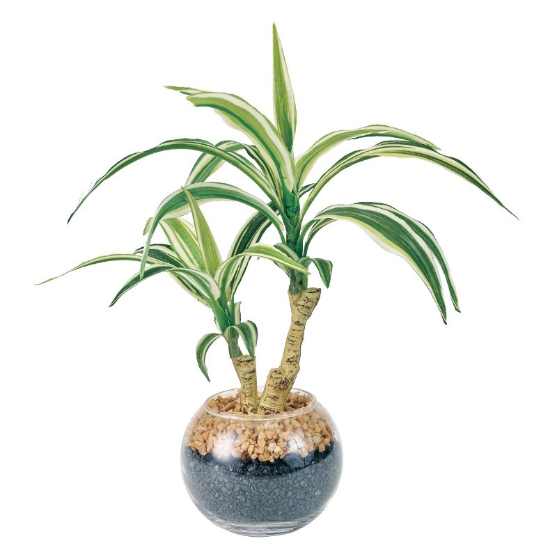 人工観葉植物 ドラセナ ラウンドグラス 光触媒加工 高さ30cm （P191-zv565) （代引き不可） インテリアグリーン フェイクグリーン