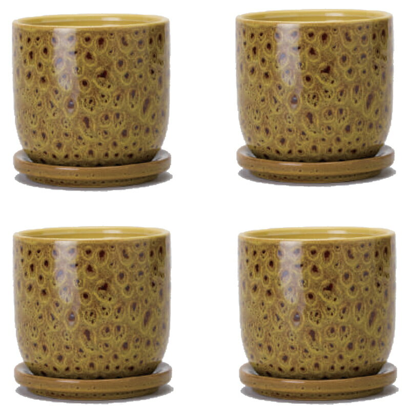 花・観葉植物用ポット クヴェタ 11 Y ceramic （4個入り） 40198 受皿付き （代引き不可） ミニポット ..