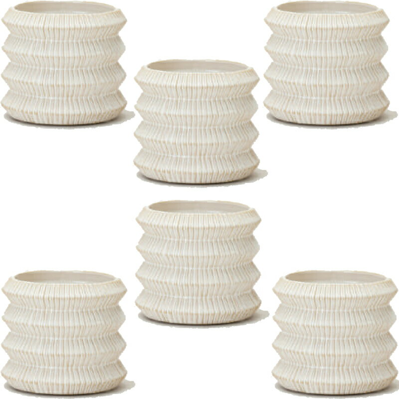 花・観葉植物用ポット レギナ 11 W ceramic （6個入り） 41022 鉢タイプ （代引き不可） ミニ鉢カバー ..