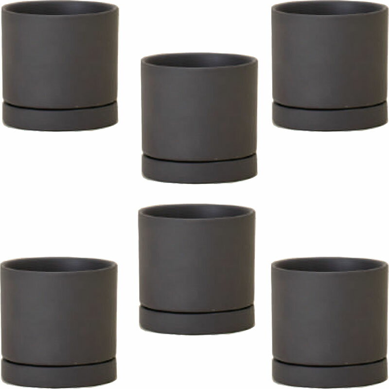 花・観葉植物用ポット ルーツ 8 K ceramic （6個入り） 84051 受皿付き （代引き不可） ミニポット プ..