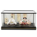 雛人形 親王ケース入り 小出松寿 京極 京十二番 手刺繍A hn274 hs297 幅59cm 悠華ケース 2人 (24hina-ya-to0312) ひな人形...