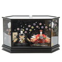 雛人形 親王ケース入り 小出松寿 総刺繍 京十二番 雪輪桜文様 hn398 hs414 幅57cm 六角黒ケース 2人 (24hina-ya-to0429) ひ...