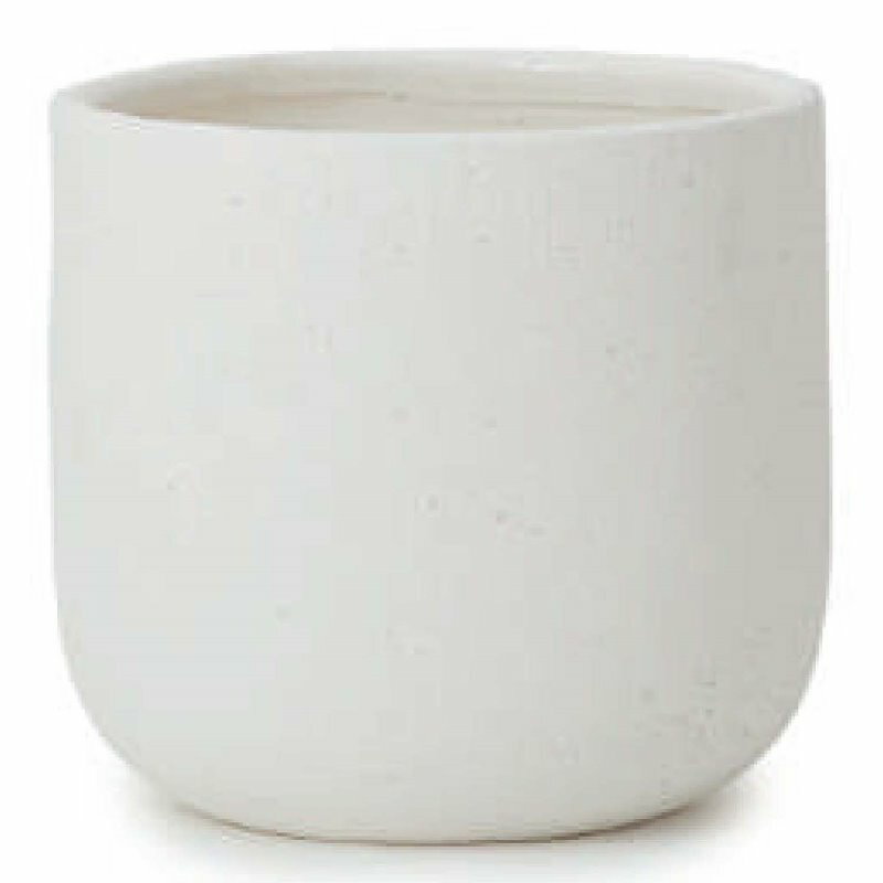 花・観葉植物用ポット ルーケト ユーポット L 8号用 オフホワイト（1個入り）lc-001w33v [KTp329] 中型..