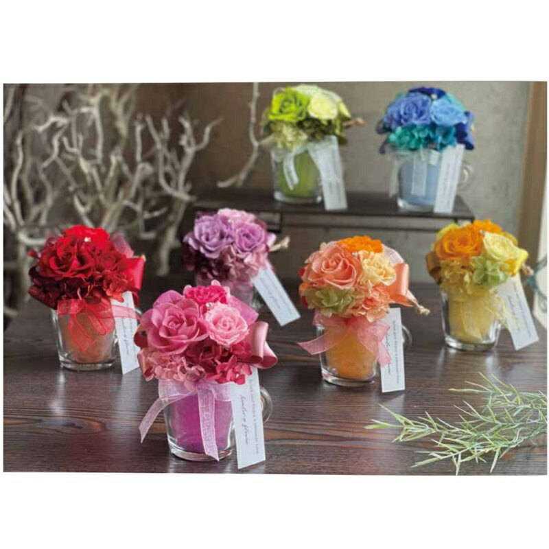 乐天商城 - プリザーブドフラワー Presarved Flower Arrangment（no10-1320）Sサイズ 7色から1色を選択 クリアカップ型（4p） 1個入り 高さ110mm クリアケース入り ブリザアレンジ ギフト インテリア