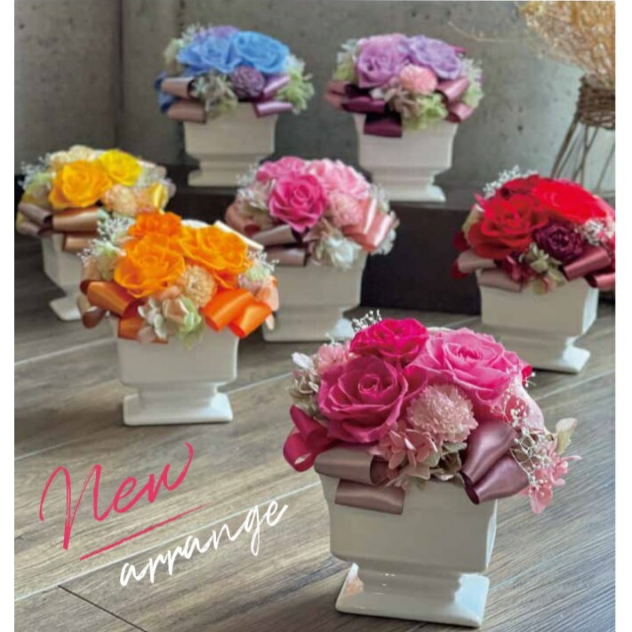 Hospital Visit - プリザーブドフラワー Presarved Flower Arrangment（no10-1326）Mサイズ 7色から1色を選択 ポット型（5p） 1個入り 高さ140mm クリアケース入り ブリザアレンジ ギフト インテリア