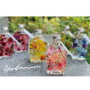 ハーバリウム Herbarium 植物標本(no10-hb28)6色から1色を選択 ウイスキー瓶型(11p) 1個入り 高さ77.8mm 箱入り ブリザアレンジ...
