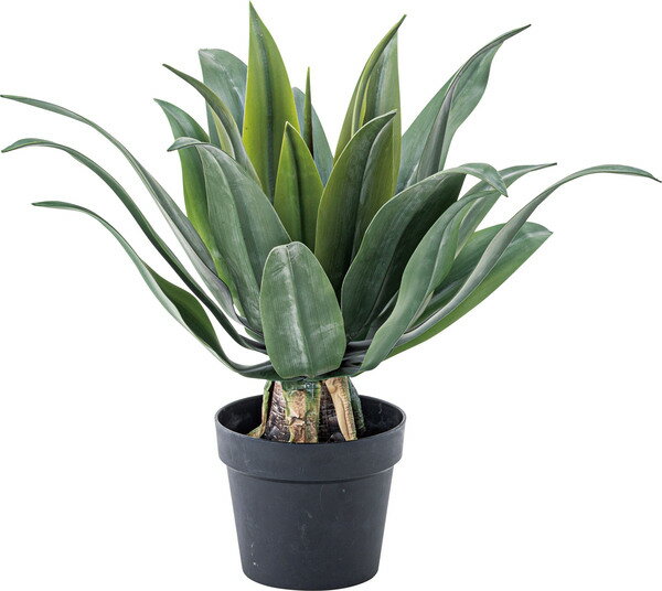 フェイクグリーン アガベ B　人工観葉植物 GRN-14