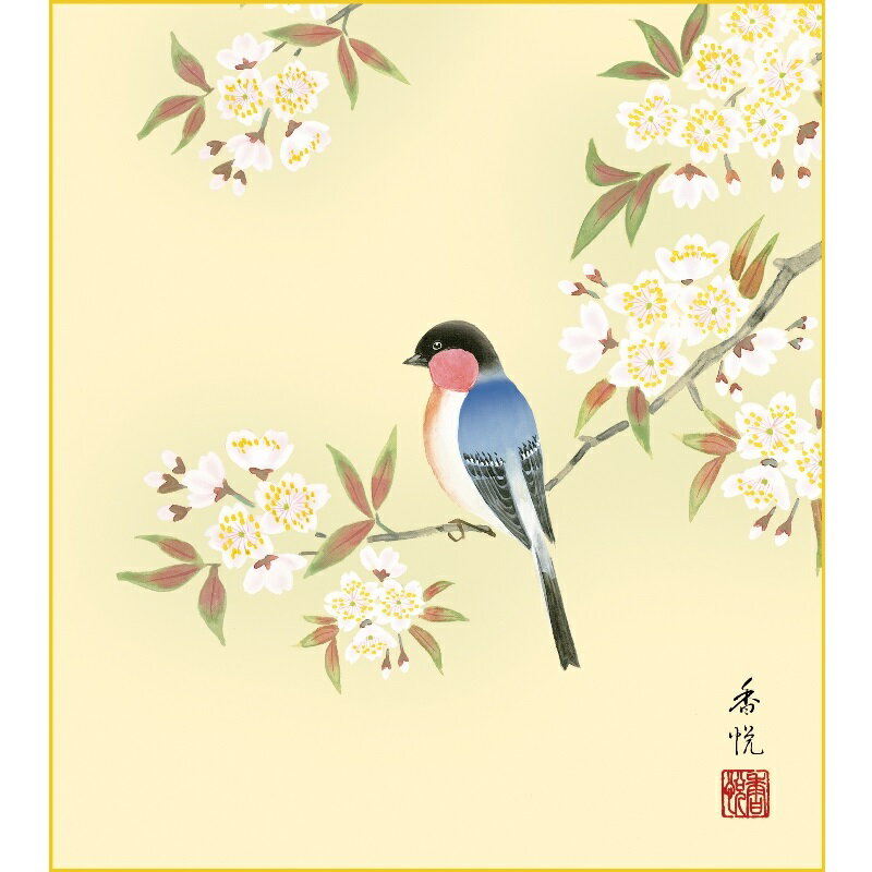 色紙絵 花鳥画【西尾香悦】桜に瑠璃鳥 四季絵 k5-020a 花鳥四選春【代引き不可】