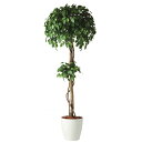 人工観葉植物 フィッカスベンシャミナダブル 180 natural ポット付き 高さ180cm （P58-91236) （代引き不可） インテリアグリーン フェイクグリーン