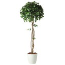 人工観葉植物 フィッカスベンシャミナシングル 180 natural ポット付き 高さ180cm (P58-91239) (代引き不可) インテリアグリーン フ...
