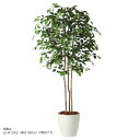 人工観葉植物 フィッカスベンシャミナトリプル 200 natural ポット付き 高さ200cm (P58-91241) (代引き不可) インテリアグリーン フ...