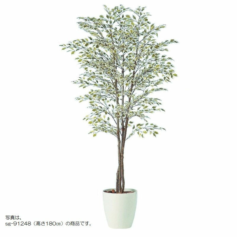 乐天商城 - 人工観葉植物 ベンジャミナスターライトトリプル 150 natural ポット付き 高さ150cm （P59-91249) （代引き不可） インテリアグリーン フェイクグリーン